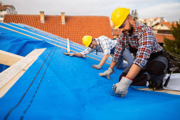 Fast & Reliable Emergency Roof Repairs in Hoyt Lakes, MN